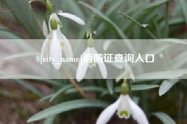 蚌埠消防证查询入口