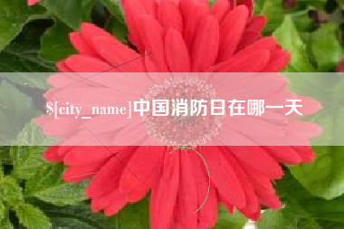 蚌埠中国消防日在哪一天
