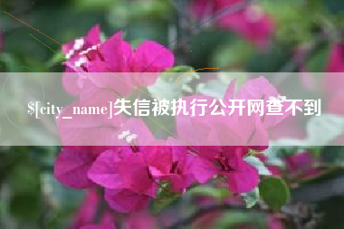 蚌埠失信被执行公开网查不到