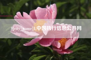 蚌埠1.中国执行信息公开网