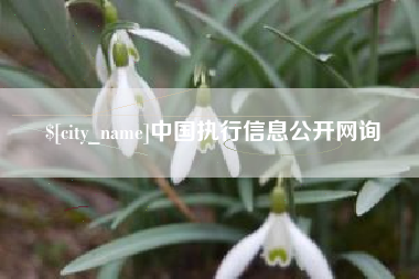蚌埠中国执行信息公开网询