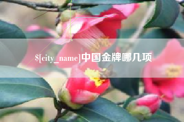 蚌埠中国金牌哪几项