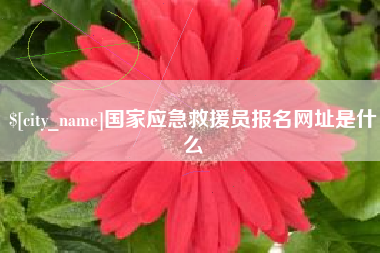 蚌埠国家应急救援员报名网址是什么