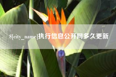 蚌埠执行信息公开网多久更新