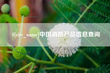 蚌埠中国消防产品信息查询
