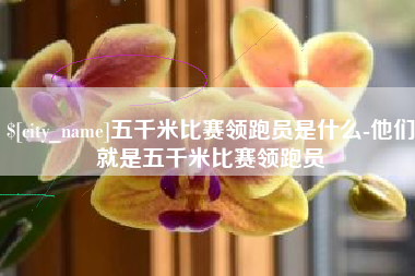蚌埠五千米比赛领跑员是什么-他们就是五千米比赛领跑员
