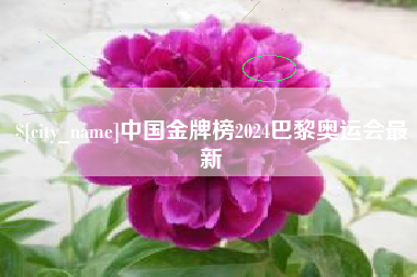 蚌埠中国金牌榜2024巴黎奥运会最新