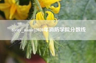 蚌埠2020年消防学院分数线