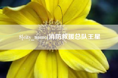 蚌埠消防救援总队王星