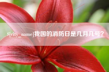 蚌埠我国的消防日是几月几号？