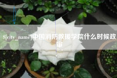 蚌埠中国消防救援学院什么时候政审