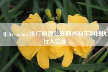 蚌埠执行信息公开网查询不到被执行人信息