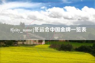 蚌埠冬运会中国金牌一览表