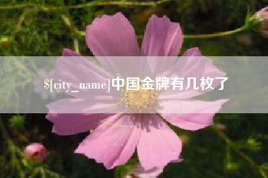 蚌埠中国金牌有几枚了