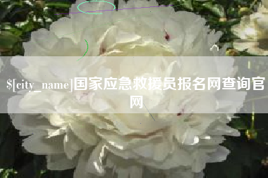 蚌埠国家应急救援员报名网查询官网