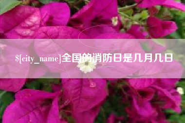 蚌埠全国的消防日是几月几日