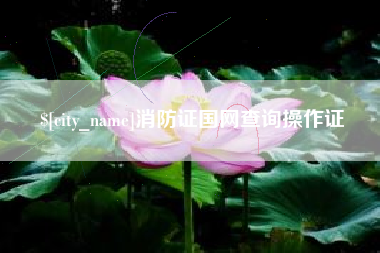 蚌埠消防证国网查询操作证