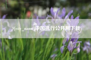 蚌埠中国执行公开网下载