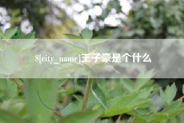 蚌埠王子豪是个什么