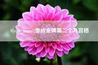 蚌埠奥运金牌第二个九宫格
