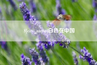 蚌埠白色在中国