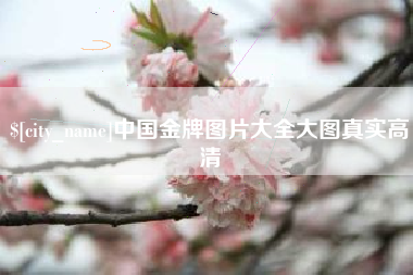 蚌埠中国金牌图片大全大图真实高清