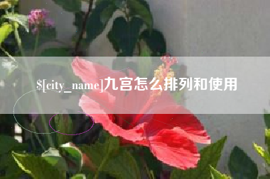 蚌埠九宫怎么排列和使用