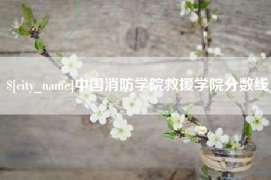 蚌埠中国消防学院救援学院分数线