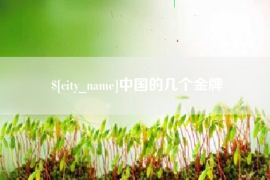 蚌埠中国的几个金牌