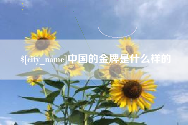 蚌埠中国的金牌是什么样的