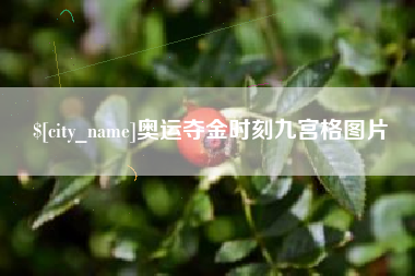 蚌埠奥运夺金时刻九宫格图片