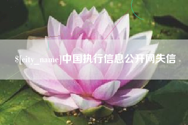蚌埠中国执行信息公开网失信