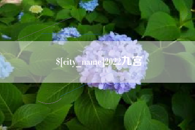 蚌埠2022九宫
