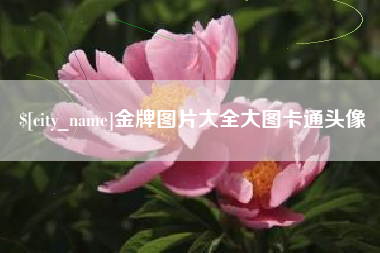 蚌埠金牌图片大全大图卡通头像