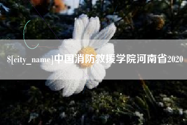 蚌埠中国消防救援学院河南省2020